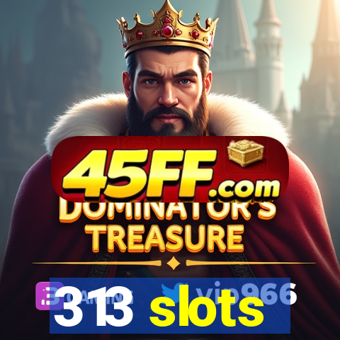 313 slots
